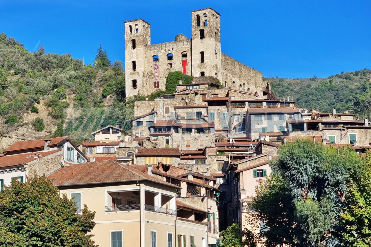 Abbattimento pini a Dolceacqua: il Comune spiega le motivazioni