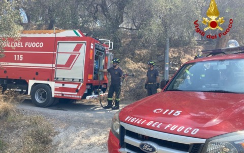Fiamme sulle alture di Ceriana: vigili del fuoco in azione