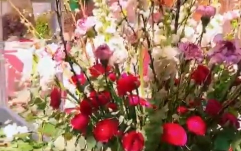 Il Festival dei Fiori trasforma Piazza Bresca