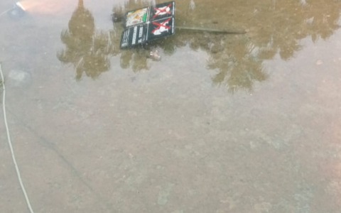 Vandali colpiscono la fontana di Villa Ormond: targhe botaniche danneggiate