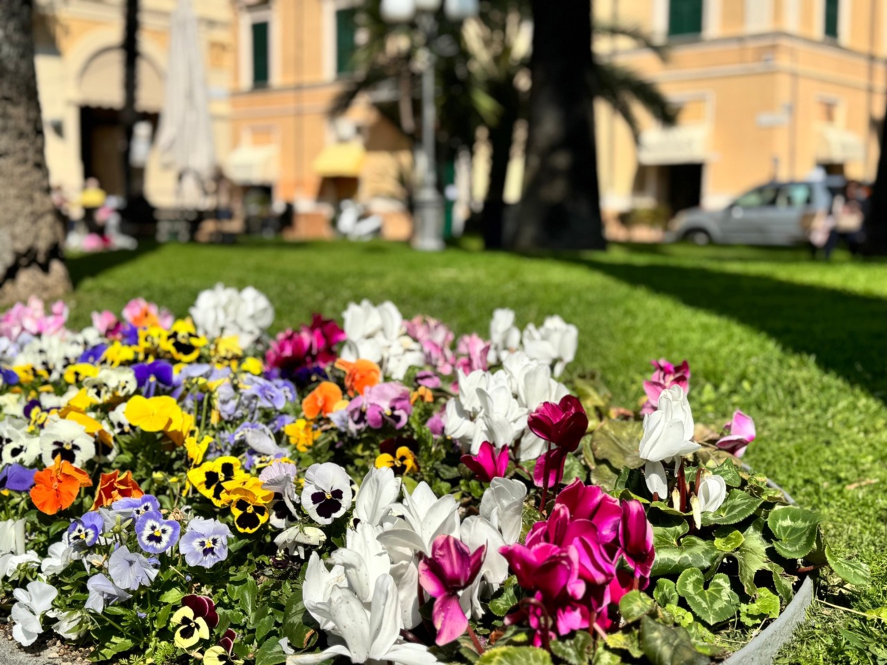 Affidamento del verde pubblico a Diano Marina: il Comune avvia il nuovo progetto