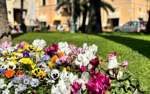 Affidamento del verde pubblico a Diano Marina: il Comune avvia il nuovo progetto