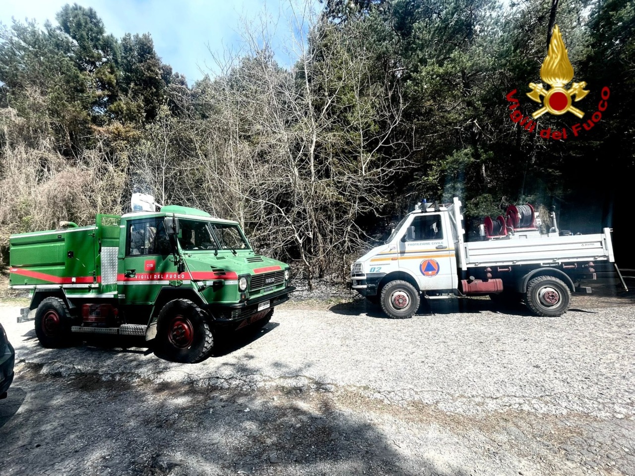 Incendio boschivo a Perinaldo, rapido intervento dei vigili del fuoco