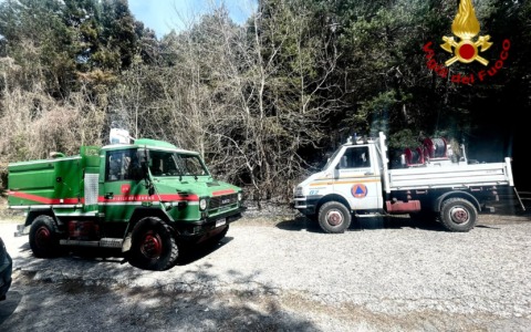 Incendio boschivo a Perinaldo, rapido intervento dei vigili del fuoco