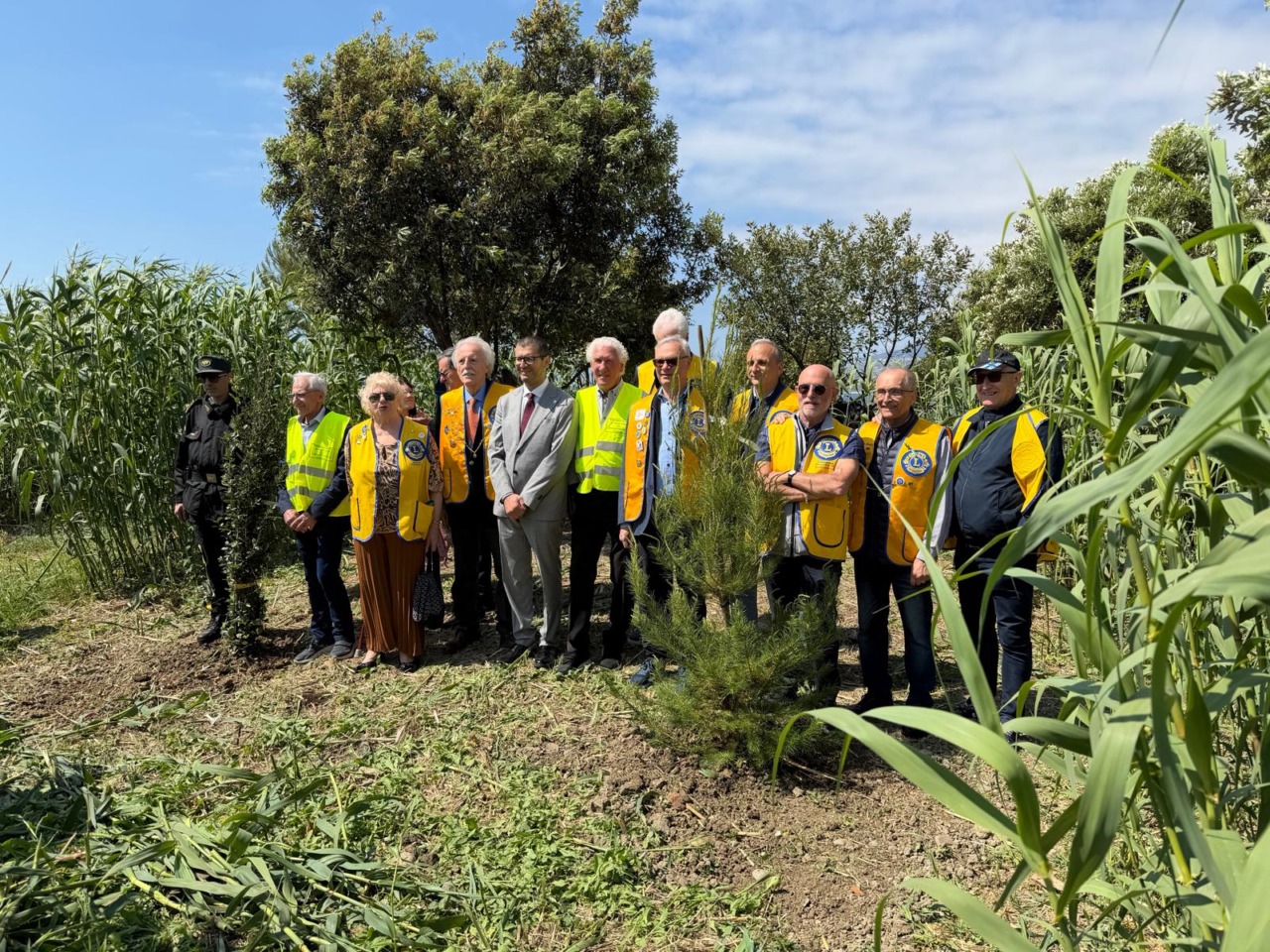 Piantumazione di alberi da parte del Lions Club Sanremo Host per la Settimana per l’Ambiente