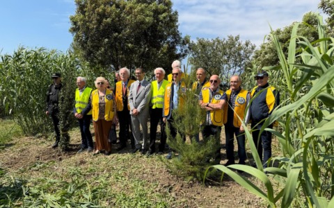Piantumazione di alberi da parte del Lions Club Sanremo Host per la Settimana per l’Ambiente