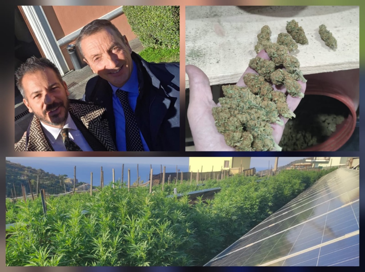 Restituiti 350 kg di canapa legale a Carlo Leone