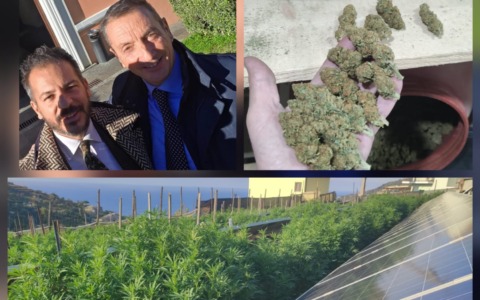 Restituiti 350 kg di canapa legale a Carlo Leone