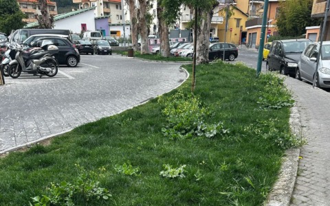 SiAmo Camporosso: “Aiuole trascurate e parcheggi rimossi, decisione errata”