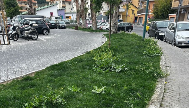 SiAmo Camporosso: “Aiuole trascurate e parcheggi rimossi, decisione errata”