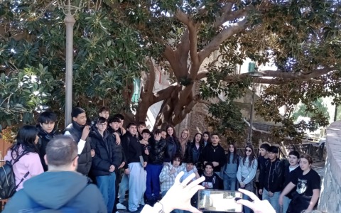 Studenti del Colombo esplorano l’eredità di Italo Calvino