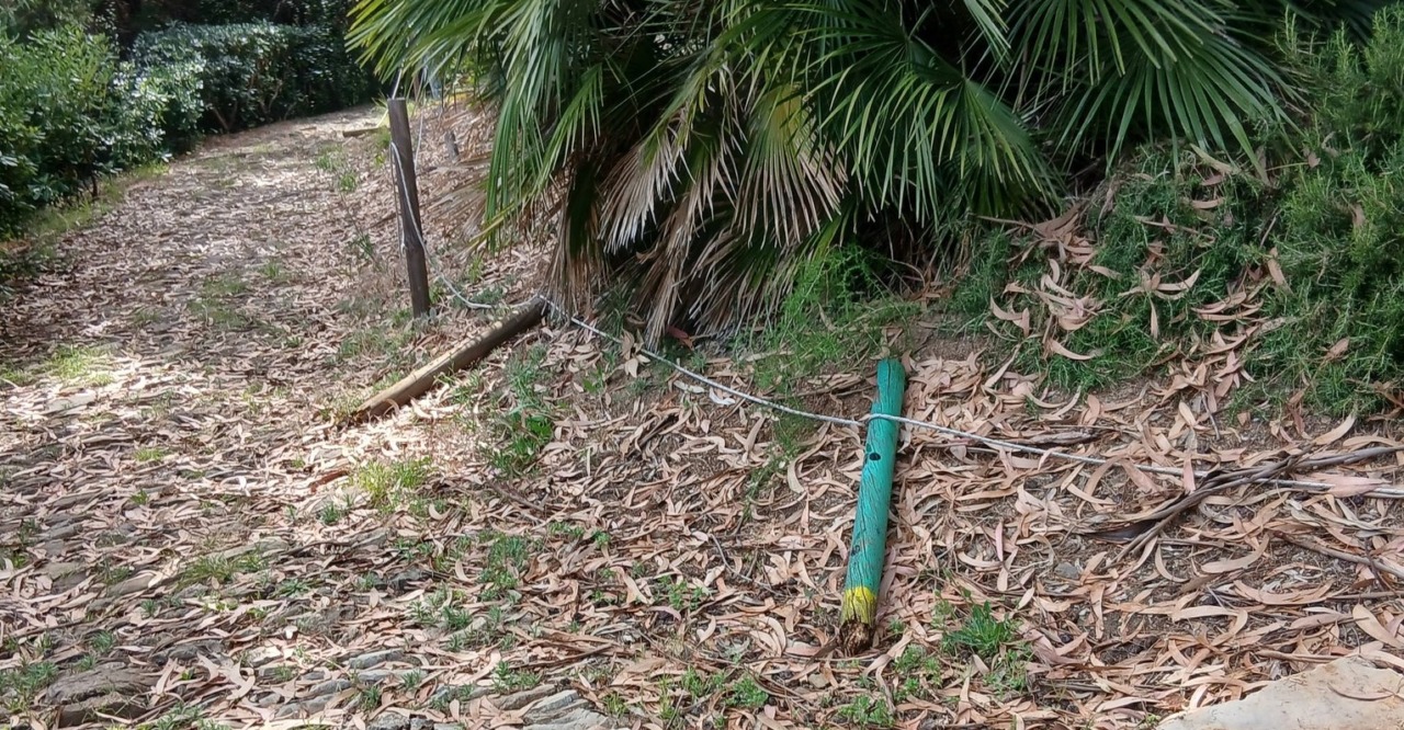 Il Parco Benessere Novaro di Costarainera in stato di degrado