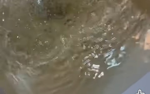 Problemi di acqua marrone a Taggia: avviso del comune