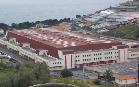 Ultima asta della stagione al Mercato dei Fiori: incremento del 7,6% nella commercializzazione