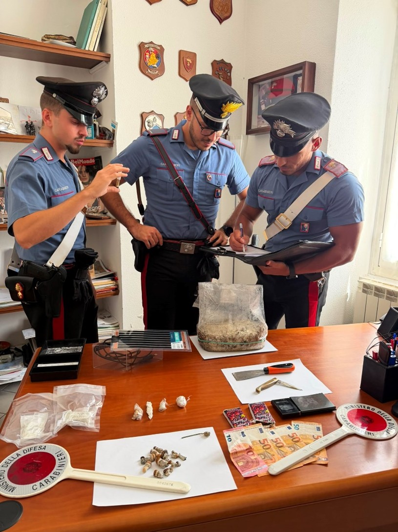 Arrestato per spaccio di droga, amico denunciato per coltivazione