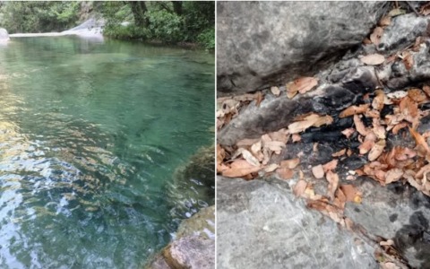 Inciviltà al rio Carne di Pigna: il Sindaco chiede misure restrittive