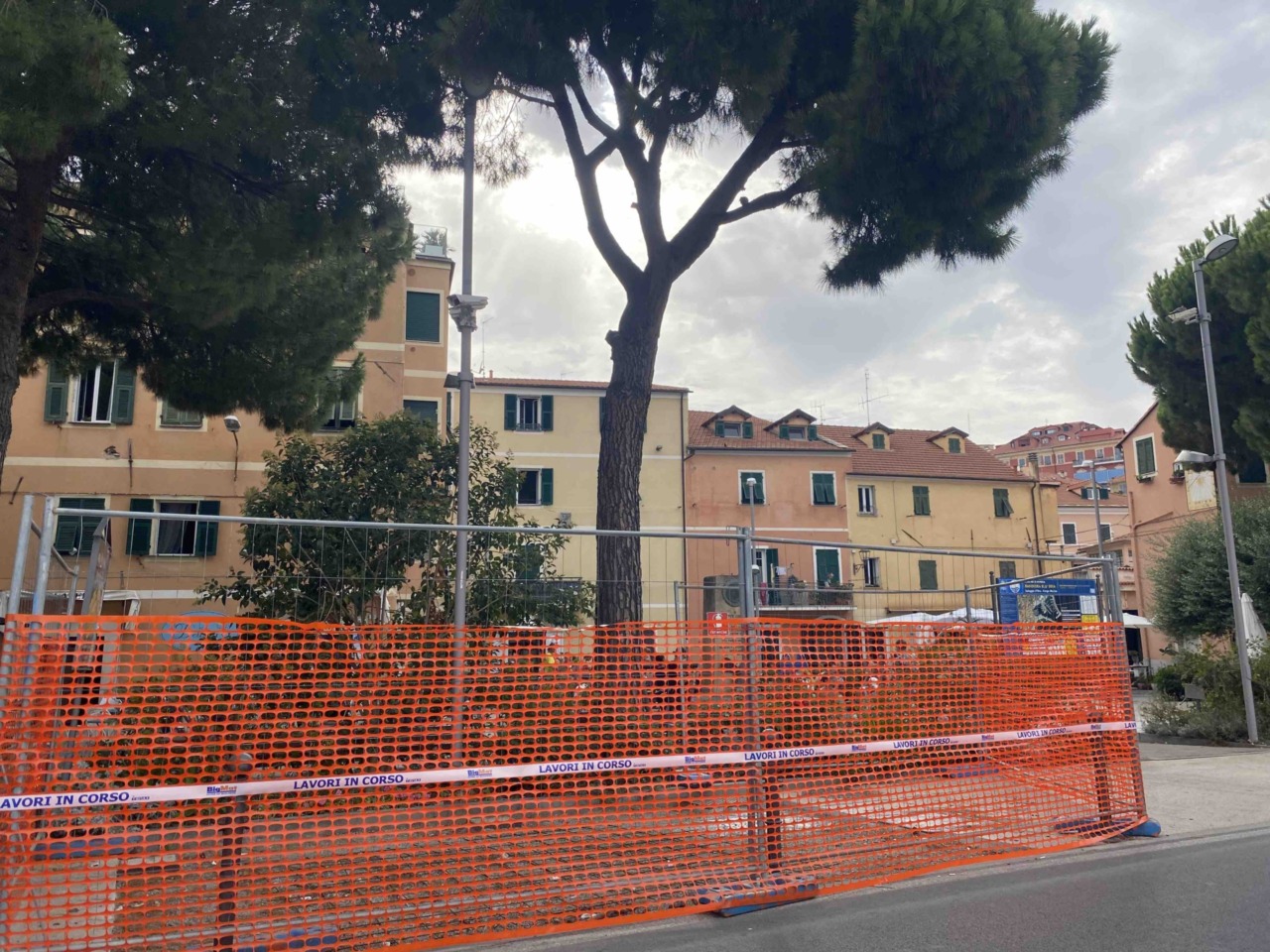 Rimozione di un pino pericoloso a Imperia