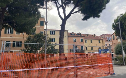 Rimozione di un pino pericoloso a Imperia