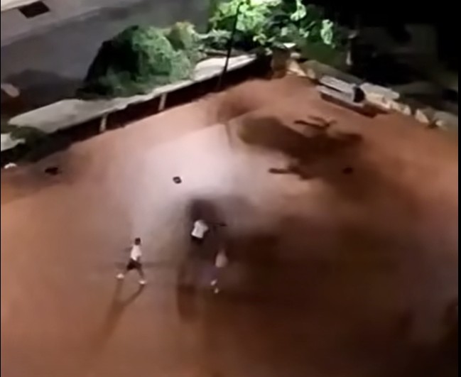 Rissa e urla a Oneglia, il video allerta i cittadini