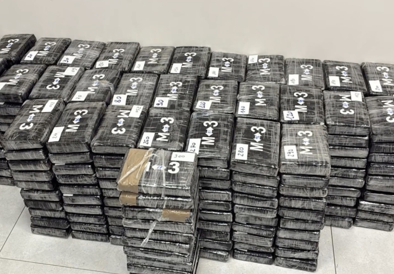 Sequestro di droga: 340 kg di cocaina nascosti in un carico di platani