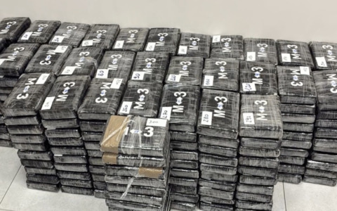 Sequestro di droga: 340 kg di cocaina nascosti in un carico di platani