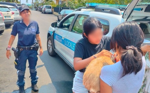 Un cane salvato dalla Polizia Locale e dai Vigili del Fuoco