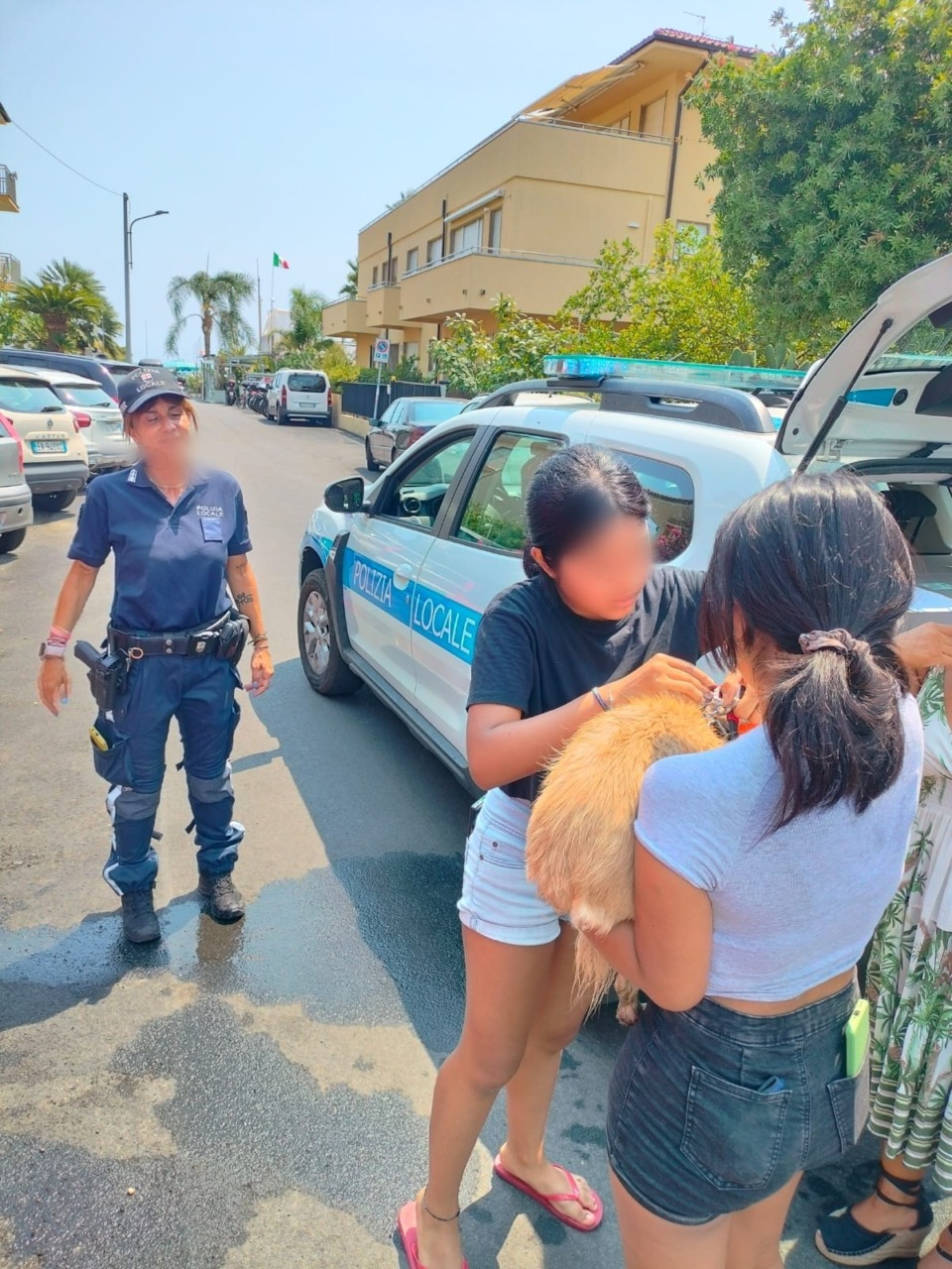 Un cane salvato dalla Polizia Locale e dai Vigili del Fuoco